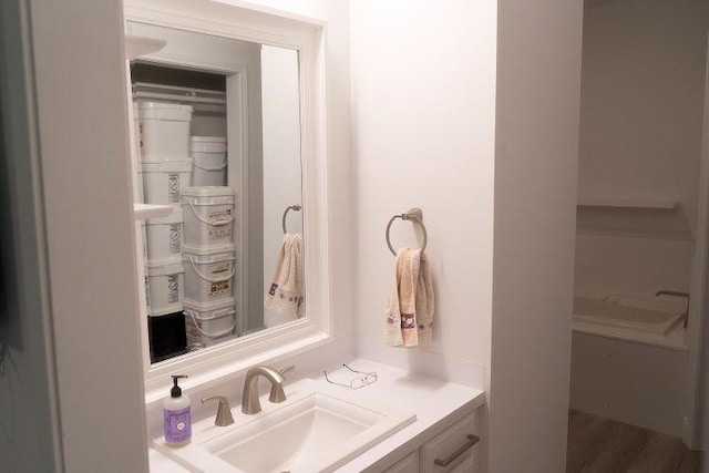 bathroom featuring wood-type flooring and vanity