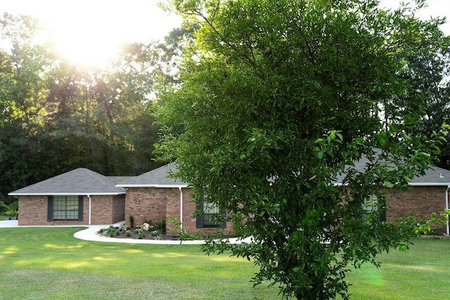 view of front of home featuring a front lawn