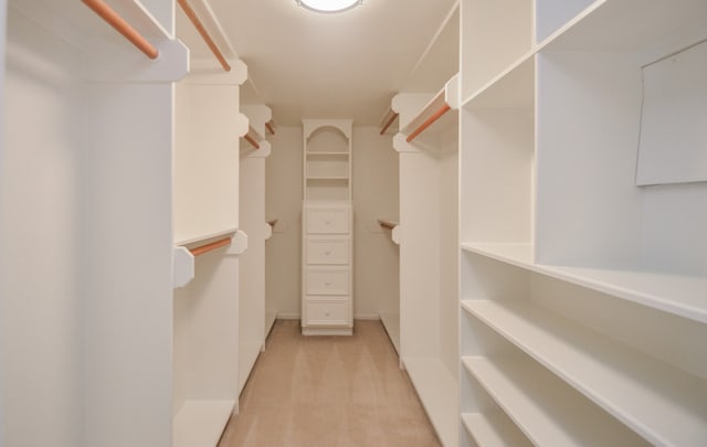 spacious closet with light colored carpet