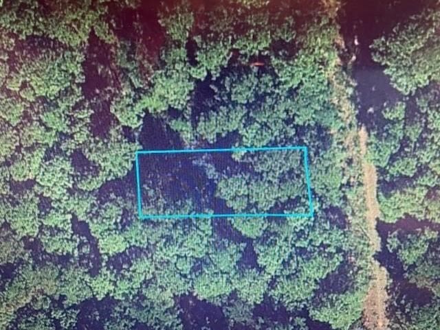 LOT13 Bluebonnet Dr, Navasota TX, 77868 land for sale