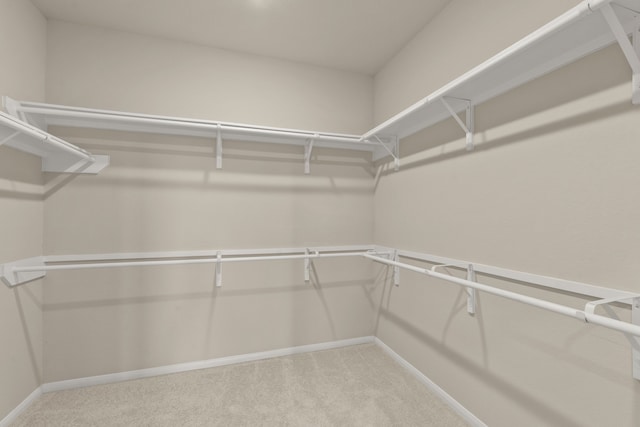 walk in closet with carpet floors