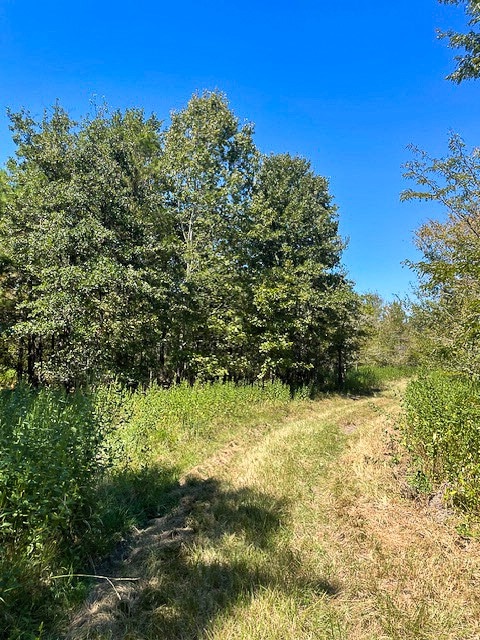 8881 Fm 356, Trinity TX, 75862 land for sale