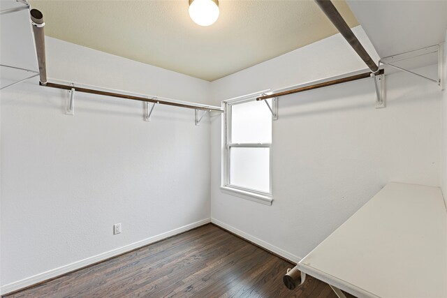 spacious closet featuring dark hardwood / wood-style floors