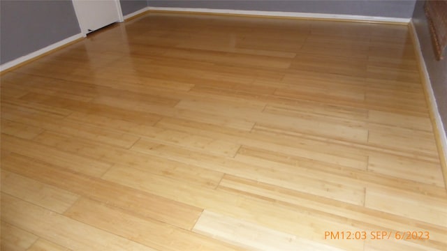 room details with wood-type flooring