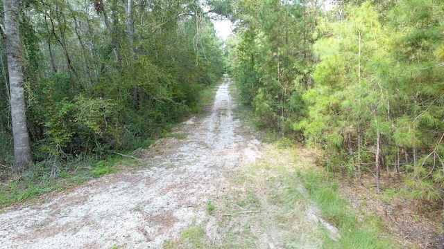 12075 Coon Hollow Rd, Conroe, TX 77032