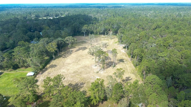 12075 Coon Hollow Rd, Conroe, TX 77032