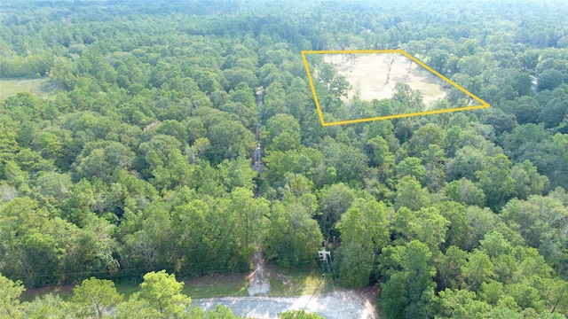 12075 Coon Hollow Rd, Conroe, TX 77032