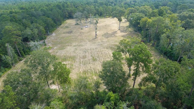 12075 Coon Hollow Rd, Conroe, TX 77032