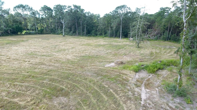 12075 Coon Hollow Rd, Conroe, TX 77032