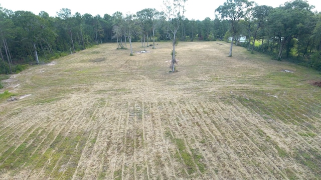 12075 Coon Hollow Rd, Conroe, TX 77032