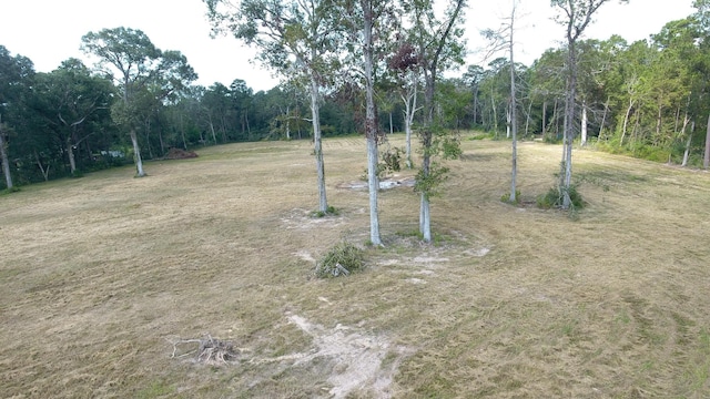 12075 Coon Hollow Rd, Conroe, TX 77032