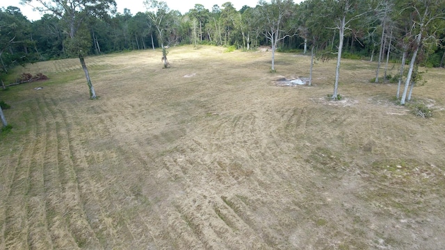 12075 Coon Hollow Rd, Conroe, TX 77032