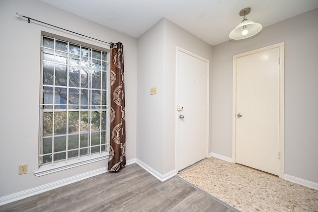 entryway with wood-type flooring