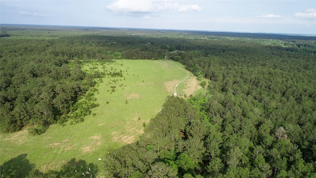 0000 Old Beaumont Rd, Sour Lake, TX 77659