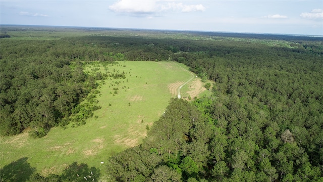 0000 Old Beaumont Rd, Sour Lake TX, 77659 land for sale