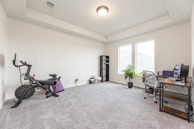 office space with carpet flooring and a raised ceiling