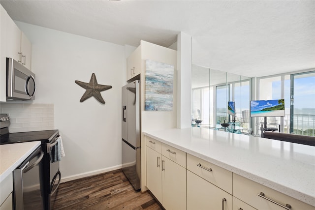 kitchen with appliances with stainless steel finishes, decorative backsplash, dark hardwood / wood-style flooring, and a wealth of natural light