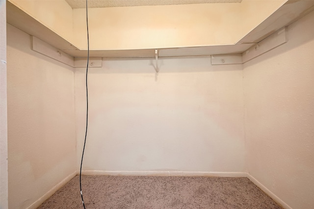 spacious closet with carpet flooring