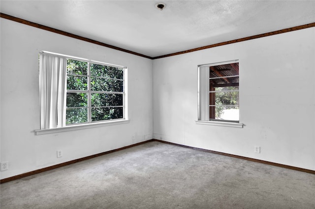 empty room featuring carpet floors, a textured ceiling, and ornamental molding