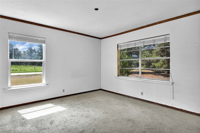 carpeted spare room featuring crown molding and a healthy amount of sunlight