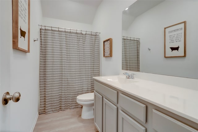 bathroom with vanity, hardwood / wood-style flooring, and toilet