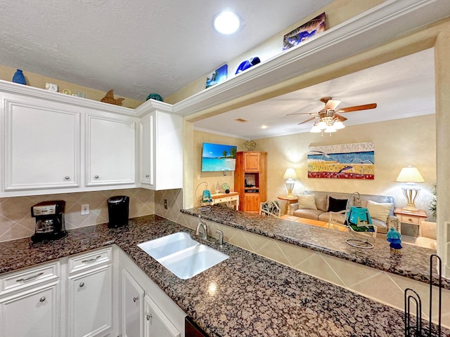 kitchen featuring crown molding, white cabinetry, sink, and ceiling fan