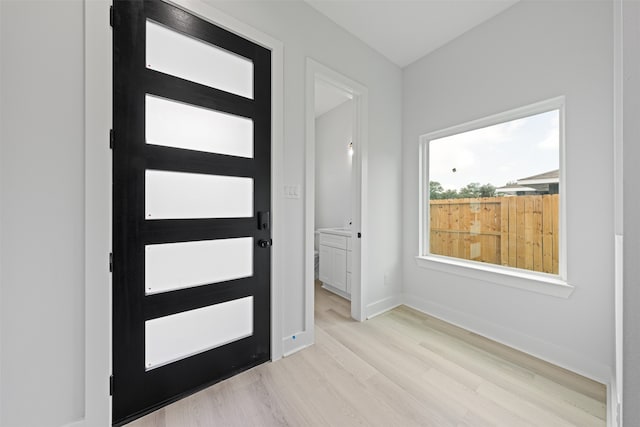 entrance foyer with light hardwood / wood-style flooring