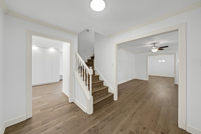 stairs featuring hardwood / wood-style floors, ceiling fan, and crown molding