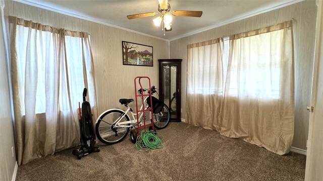 miscellaneous room with ornamental molding, ceiling fan, and carpet floors