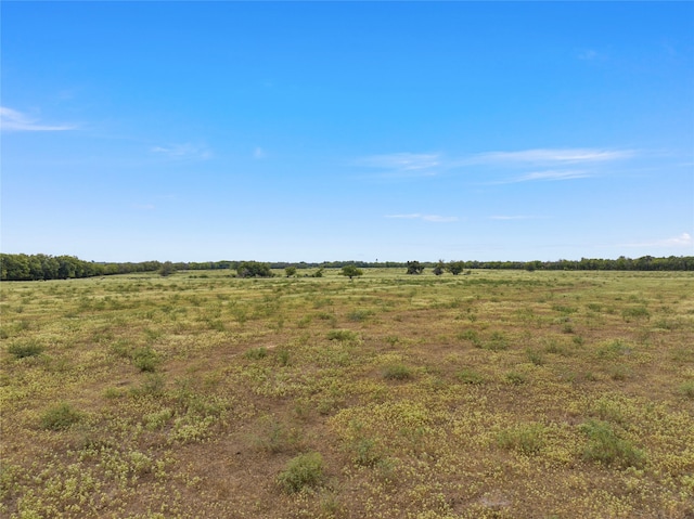 Listing photo 2 for TBD Fm 339, Kosse TX 76653