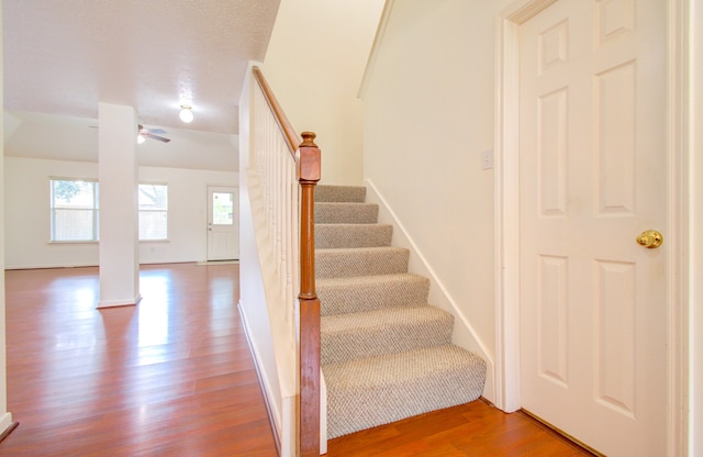 staircase featuring wood-type flooring, a textured ceiling, and ceiling fan