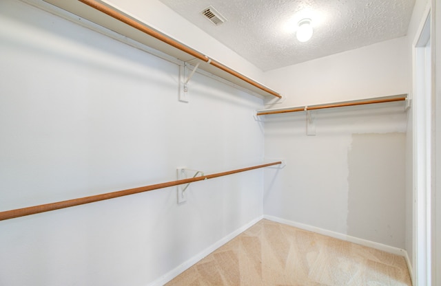 spacious closet featuring carpet flooring