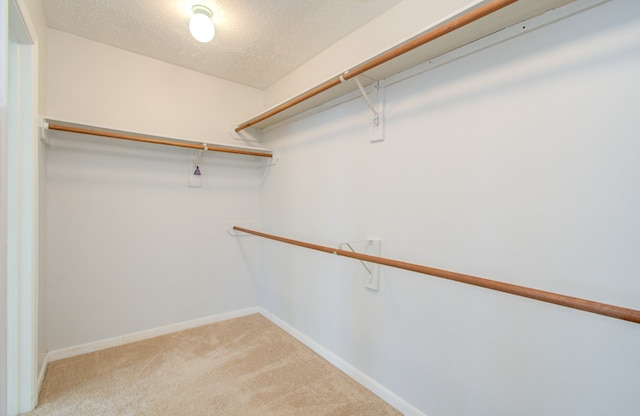 spacious closet featuring carpet flooring