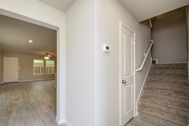 stairway featuring ceiling fan and hardwood / wood-style floors