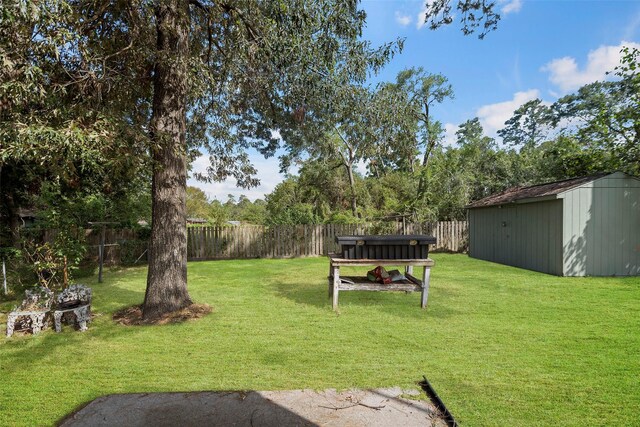 view of yard with a fire pit and a shed