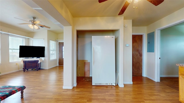 living room with ceiling fan, electric panel, and light wood-type flooring