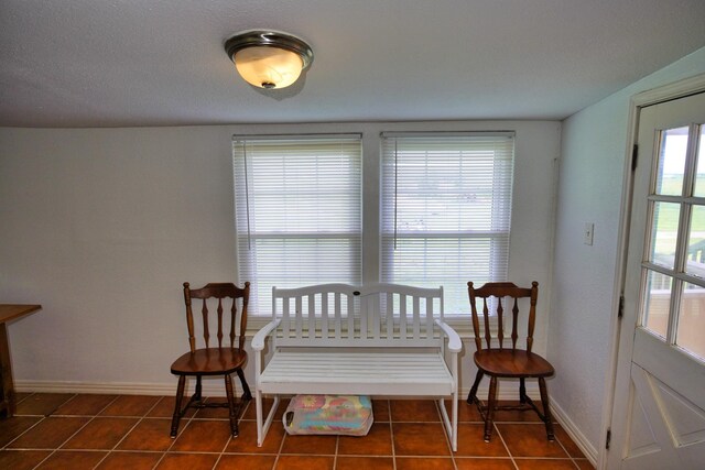 living area with dark tile patterned flooring and plenty of natural light