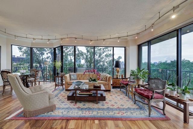 sunroom with plenty of natural light and track lighting