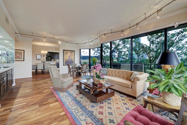 living room with ornamental molding, track lighting, light hardwood / wood-style floors, and an inviting chandelier