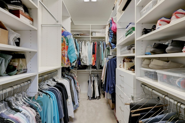 spacious closet featuring light colored carpet