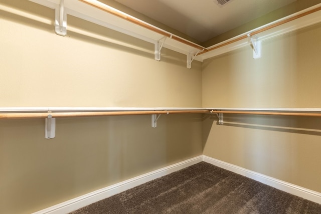 spacious closet with carpet flooring