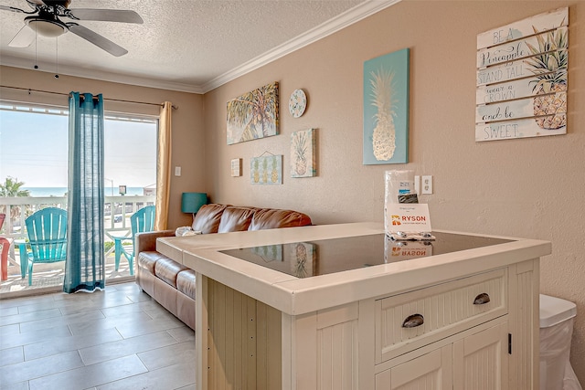 kitchen with ceiling fan, a textured ceiling, a healthy amount of sunlight, and crown molding