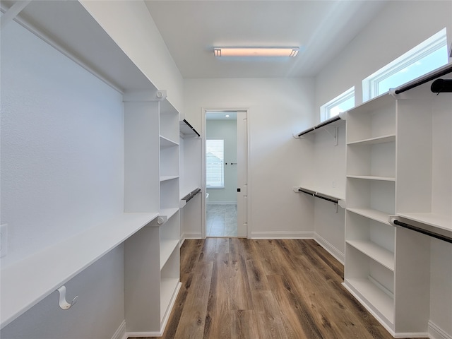 spacious closet with dark hardwood / wood-style flooring