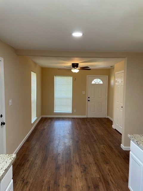 entrance foyer with ceiling fan and dark wood-type flooring