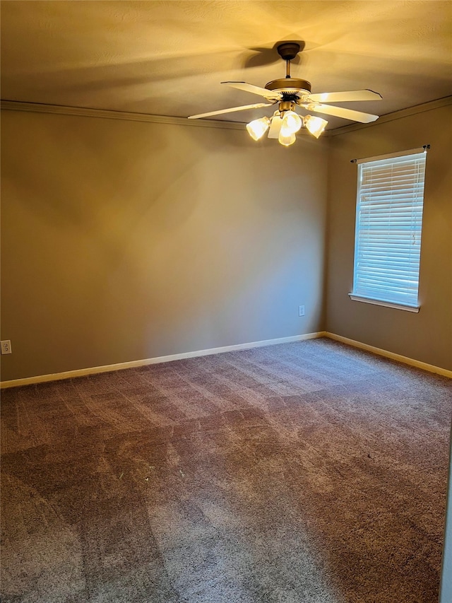 unfurnished room with ceiling fan, ornamental molding, and carpet