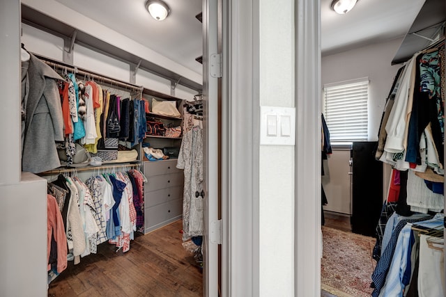 walk in closet with dark hardwood / wood-style flooring