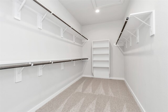 spacious closet featuring carpet flooring