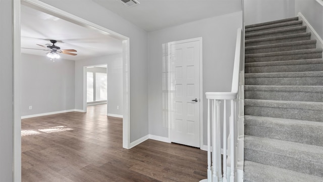 staircase featuring ceiling fan and hardwood / wood-style floors