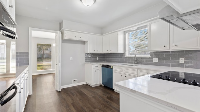 kitchen featuring sink, stainless steel dishwasher, white cabinetry, dark hardwood / wood-style floors, and a healthy amount of sunlight