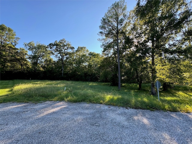 179 N Forest Dr, Huntsville TX, 77340 land for sale